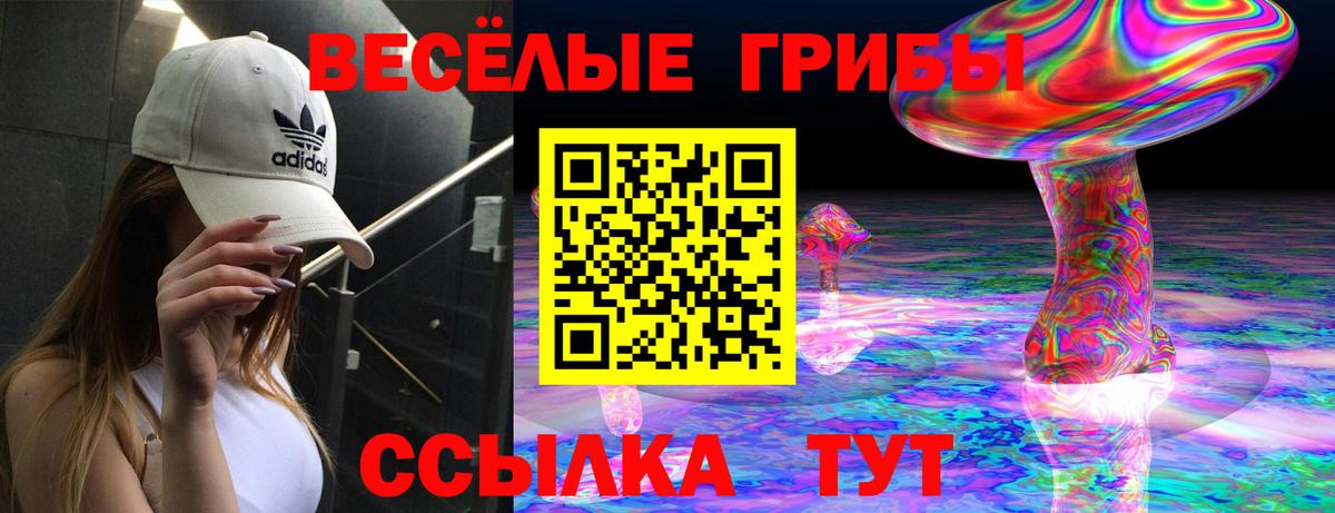 Псилоцибиновые грибы ЛСД Мелеуз