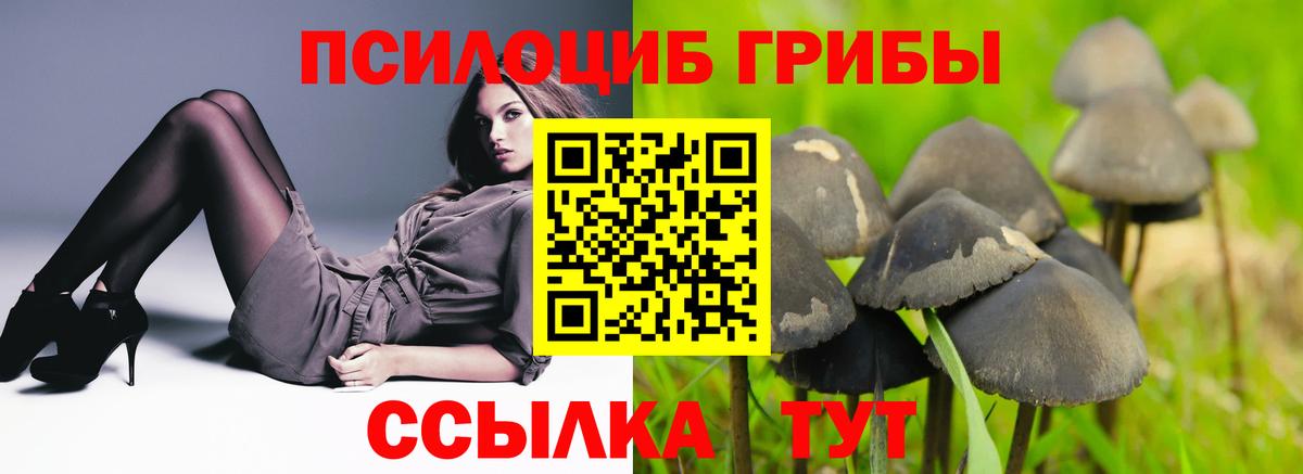 Мелеуз  Псилоцибиновые грибы мухоморы  Галлюциногенные грибы Psilocybe  Вход с VPN 